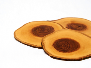 Raw Edge Olive Wood Coasters